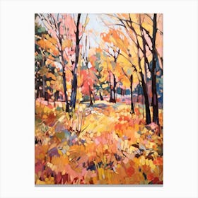 Autumn City Park Painting Forest Park Portland United States Canvas Print
