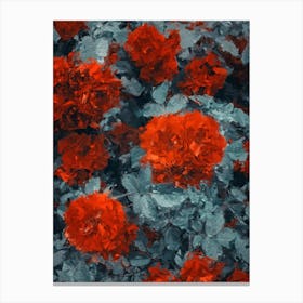 Dahlia Red Flowers In The Garden Oil Painting Canvas Print