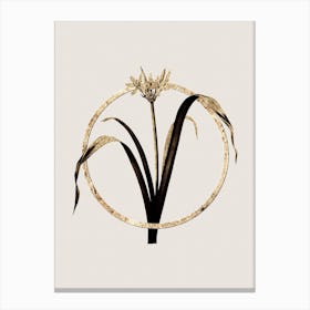 Gold Ring Small Flowered Pancratium Glitter Botanical Illustration n.0029 Canvas Print