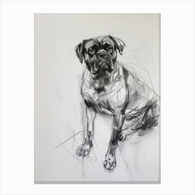 Bullmastiff Dog Charcoal Line 1 Canvas Print