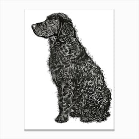 Curly Coated Retriever Dog Line Sketch Canvas Print