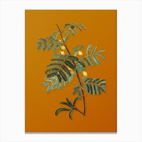 Vintage Sweet Acacia Botanical on Sunset Orange Canvas Print