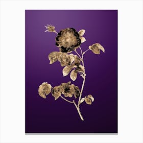 Gold Botanical Rose on Royal Purple n.4109 Canvas Print