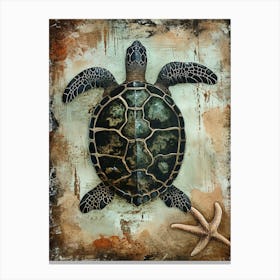 Vintage Sea Turtle & Starfish  2 Canvas Print