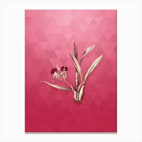 Vintage Clamshell Orchid Botanical in Gold on Viva Magenta n.0895 Canvas Print