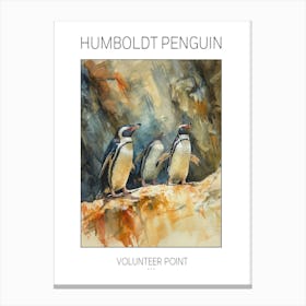 Humboldt Penguin Volunteer Point Watercolour Painting 1 Poster Canvas Print