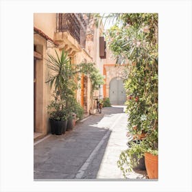 Streets Of Greece Canvas Print