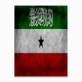 Somaliland Flag Texture Canvas Print