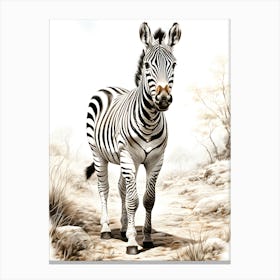 Monochrome Marvel Zebra S Elegance Canvas Print