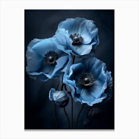 Poppies 7 Canvas Print