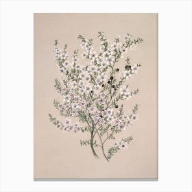 Christmas Floral Wall Art Print Canvas Print