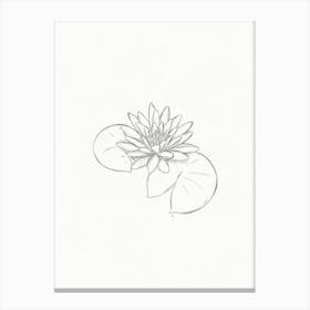 Water Lily Sketch Canvas Print