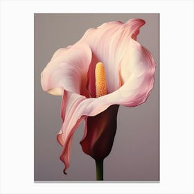 Floral Illustration Calla Lily 2 Canvas Print