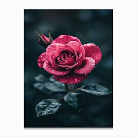 Rose In The Rain 3 Canvas Print