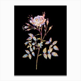 Stained Glass White Rose of Rosenberg Mosaic Botanical Illustration on Black n.0029 Canvas Print