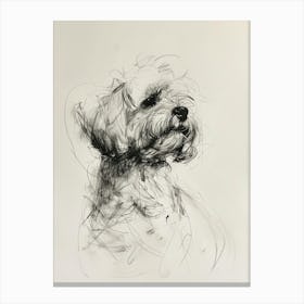 Bichon Frise Dog Charcoal Line 3 Canvas Print
