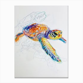 Abstract Turtle Scribble Drawing Canvas Print