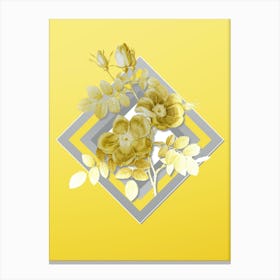 Botanical Austrian Briar Rose in Gray and Yellow Gradient n.172 Canvas Print