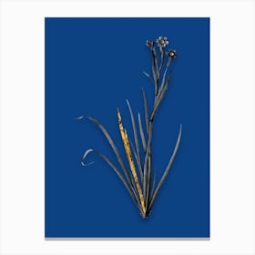 Vintage Bermudiana Black and White Gold Leaf Floral Art on Midnight Blue n.0374 Canvas Print
