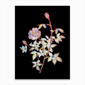 Stained Glass Moss Rose Mosaic Botanical Illustration on Black n.0335 Canvas Print