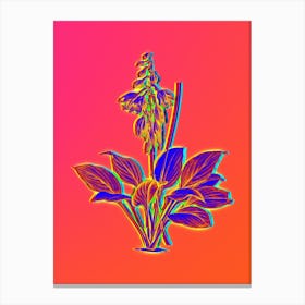 Neon Daylily Botanical in Hot Pink and Electric Blue Canvas Print