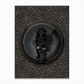 Shadowy Vintage Cuspidate Rose Botanical in Black and Gold n.0184 Canvas Print