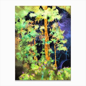 Forest At Night Canvas Print