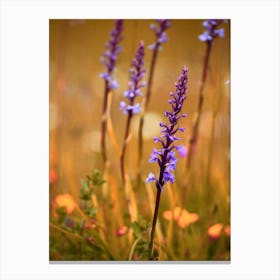 Purple Meadow Flowers Close Up Canvas Print