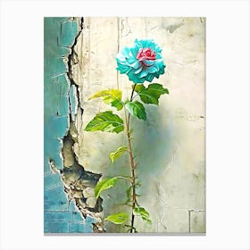 Rose On The Wall Canvas Print