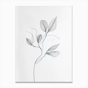 Leaf On A Branch 1 Canvas Print