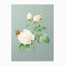Vintage White Bengal Rose Botanical Art on Mint Green n.0111 Canvas Print