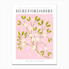 UK County Flowers Herefordshire Mistletoe Canvas Print