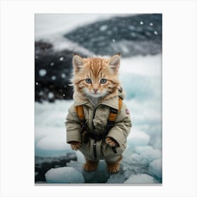 Cute Kitten In A Coat Canvas Print