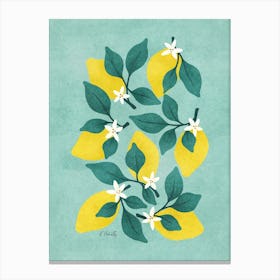 Lemon Blossom on Duck Egg Blue Canvas Print