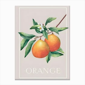 Oranges Canvas Print