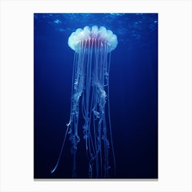 Comb Jellyfish Ocean Realistic 1 Canvas Print