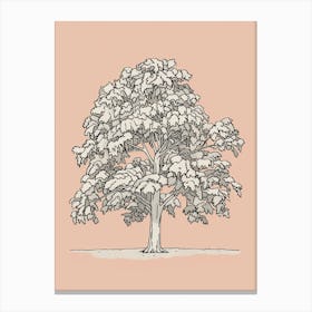 Pecan Tree Minimalistic Drawing 2 Canvas Print
