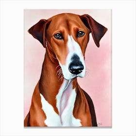 Ibizan Hound Watercolour dog Canvas Print