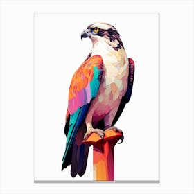 Colourful Geometric Bird Osprey Canvas Print