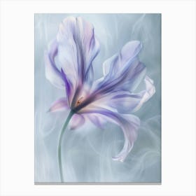 2024 May Poster Icm Flower 15 Canvas Print