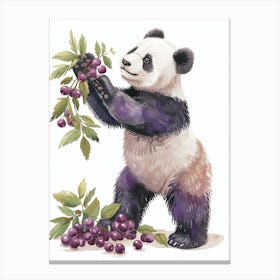 Giant Panda Standing And Reaching For Berries Storybook Illustration 3 Canvas Print