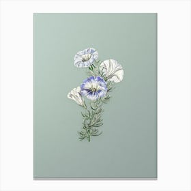 Vintage Sky Blue Alona Flower Botanical Art on Mint Green n.0721 Canvas Print