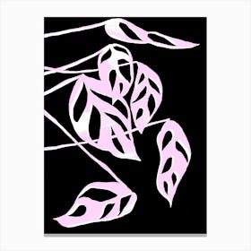 Monstera Obliqua In Black And Pink Canvas Print