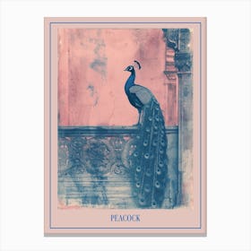 Pink & Blue Peacock In A Palace Poster Canvas Print