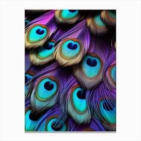 Peacock Feathers 9 Canvas Print