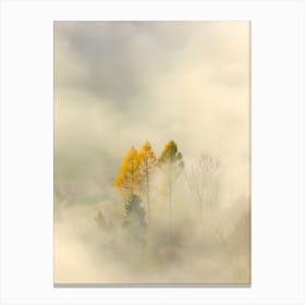 Misty Morning Canvas Print