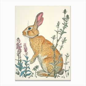 Flemish Giant Blockprint Rabbit Illustration 1 Canvas Print