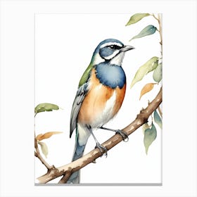 Beautiful Bird On Branch Watercolor Painting (12) Canvas Print