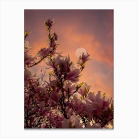 Blush Canvas Print