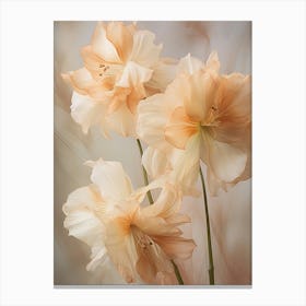 Boho Dried Flowers Amaryllis 2 Canvas Print